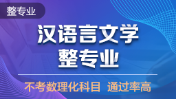 汉语言文学 整专业